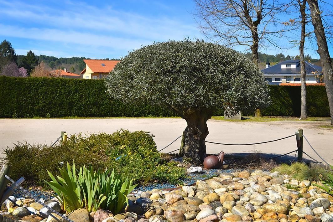 Hotel Os Caracoles Pereiro de Aguiar ภายนอก รูปภาพ
